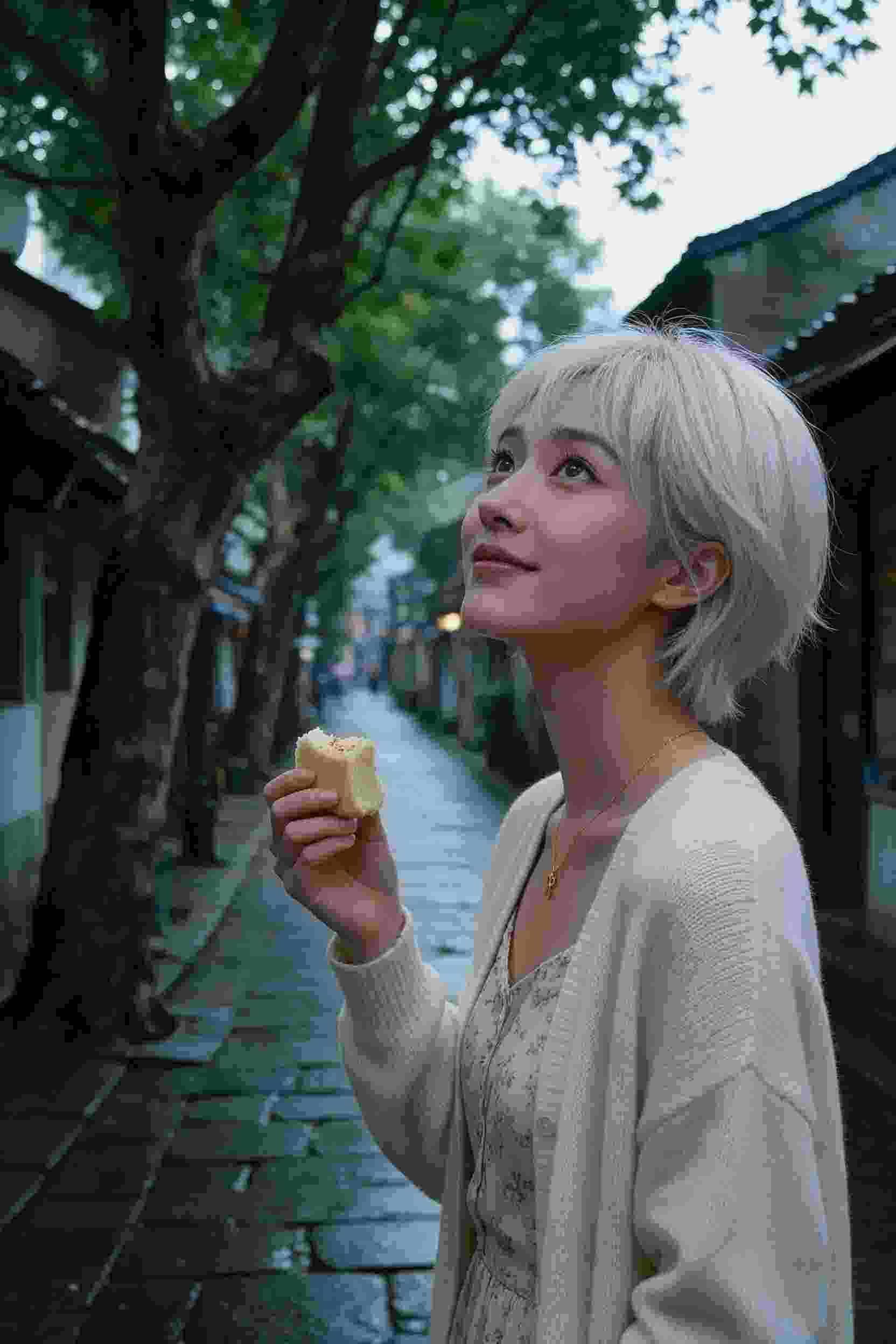 暗夜守护者